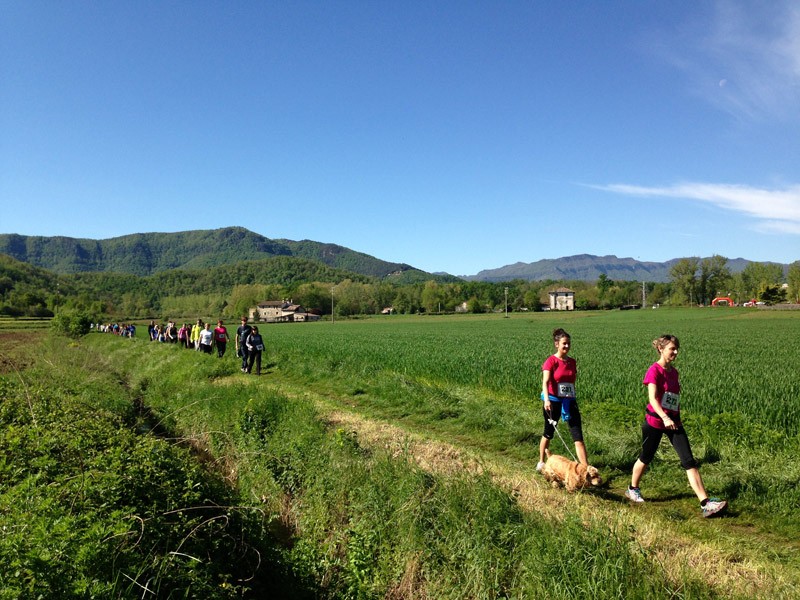 04 Caminant direccio al triai